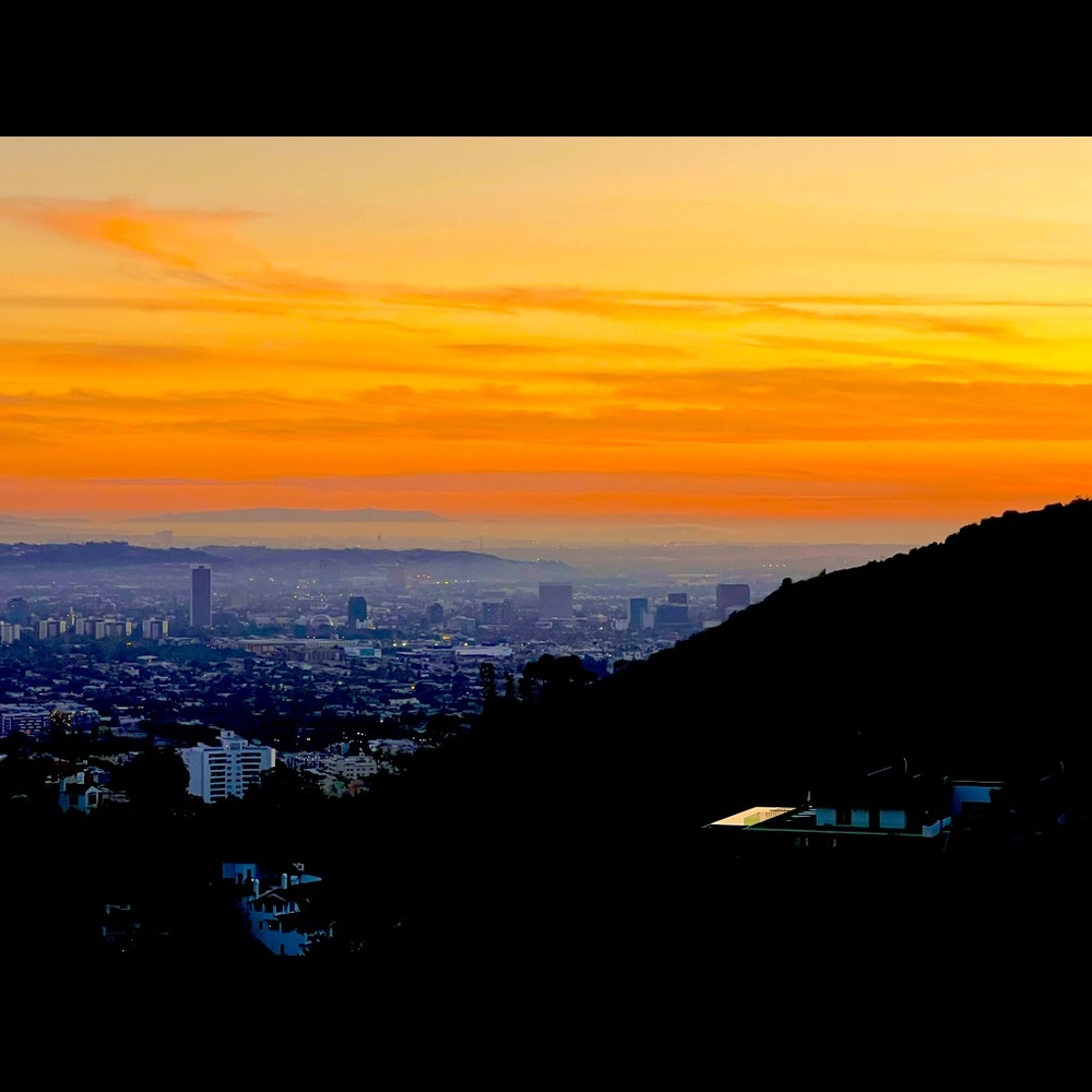 Meet your Posher, Dina